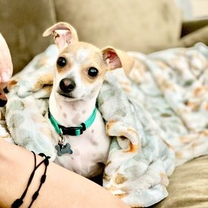 Meet your Posher, Amber